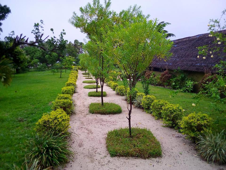 Alofa Beach Bungalows Lénakel エクステリア 写真